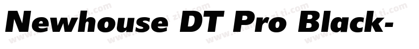 Newhouse DT Pro Black字体转换